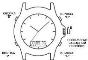 TIMEX Expedition TW4B17000ZA - 4X-KHONOHYAH AHAJIOBOAR/ UINΦPOBAIR MODEJIb C HOOH OIOCBETKOK INDIGLO N ΦYHKUEM HOHOTO PEXKUMA NIGHT-MODE - 1
