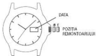 TIMEX Fairfield TW2R26000VQ - PENTRU A SETA DATA BILINGVÄ: - 1