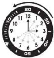 TIMEX Easy Reader T2P2989J - ANELLO BUSSOLA - 3