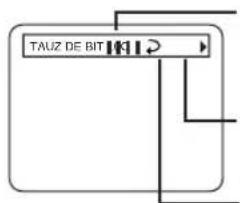 HITACHI DVPF2U - Pour les DVD - 3