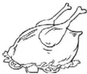 THOMSON THTTR7WHA++ - Poultry - 1