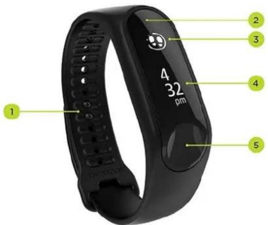 TOMTOM Touch Cardio - À propos de votre bracelet d'activité - 1
