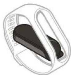TOMTOM Touch Cardio - Retirer le module du bracelet - 2