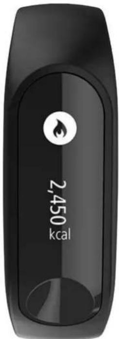 TOMTOM Touch Cardio - Suivre les calories brûlées - 1