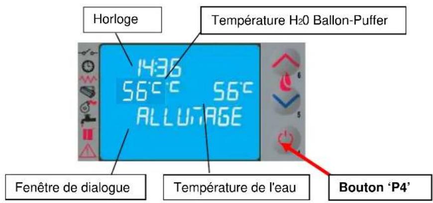 Cola Domusfire HR C39 - Mise en marche - 1