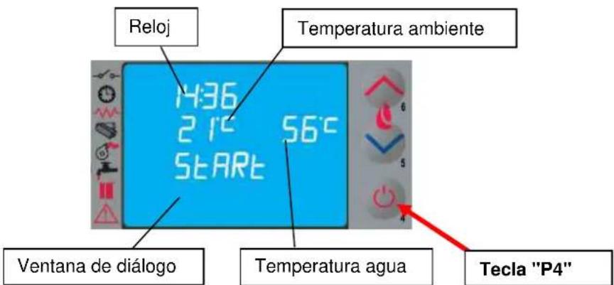 Cola Domusfire HR C39 - Puesta en marcha - 1