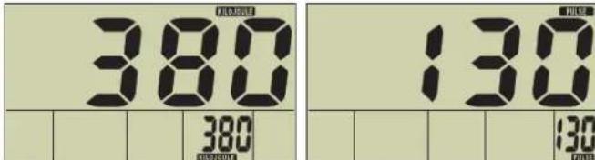 KETTLER Astro - Der richtige Trainingspuls [Aerobe Zone] - 4