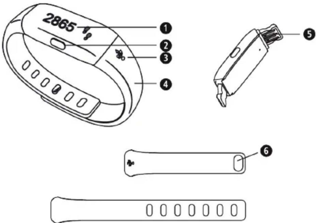 MEDISANA ViFit Connect MX3 - Éléments de commande - 1