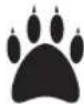 BOSCH AdvancedRotak 36660 - fingers. - 10