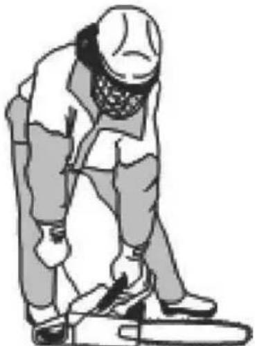 POULAN Pro PP17G42 - CHAIN BRAKE - 1