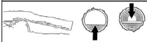 POULAN Pro PP17G42 - TYPES OF BUCKING CUTS - 4