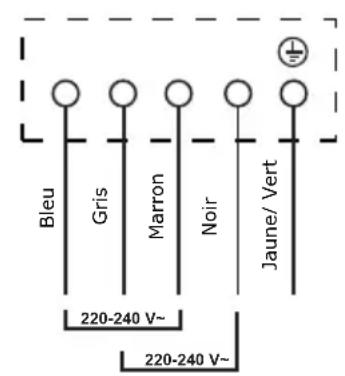 Limit LIKI59 - Raccorder la plaque de cuisson à l'alimentation secteur - 5