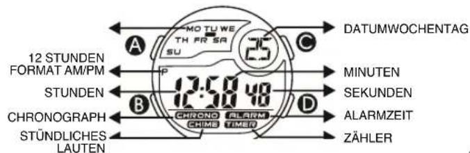 Calypso K5744 - 1