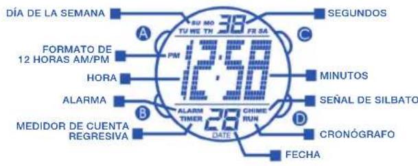Calypso K5527 - 1
