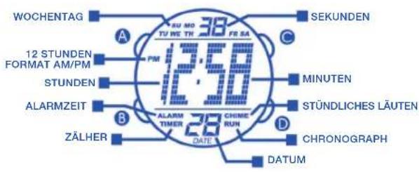 Calypso K5527 - 1