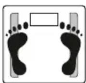 BEURER BF 950 - Diagnose - 1