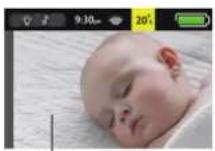 ALECTO DVM700 - Feeding alert: - 1