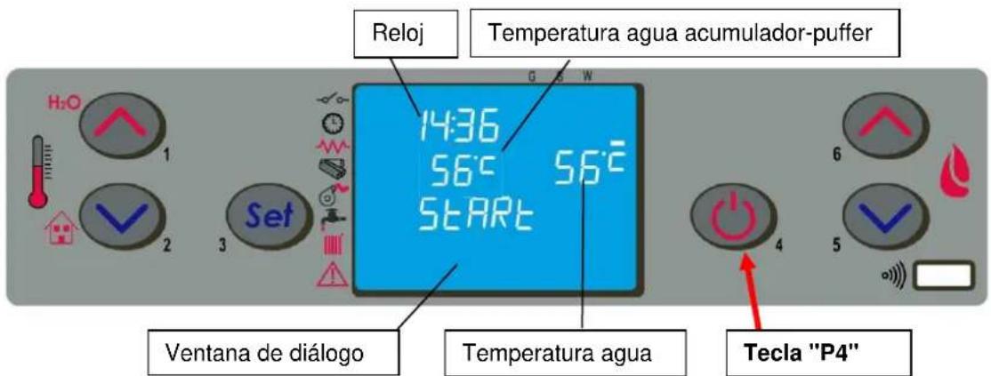 Cola Termo Plus 18 - Puesta en marcha - 1