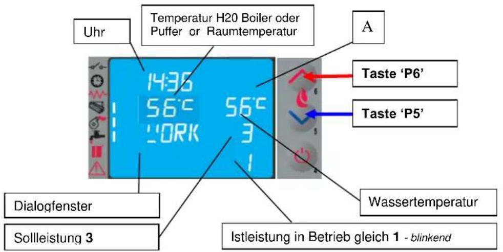 Cola Termo Plus 18 - Betriebsphase - 1