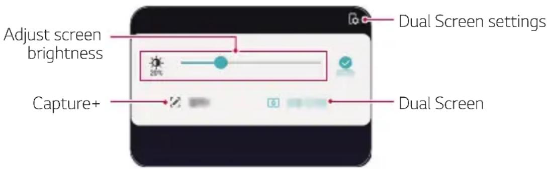 LG LMV505N - Using the Dual Screen Panel - 1