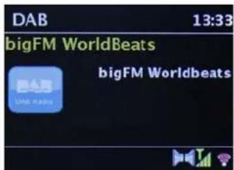 TECHNISAT DIGITRADIO 143 - Visual displays - 1