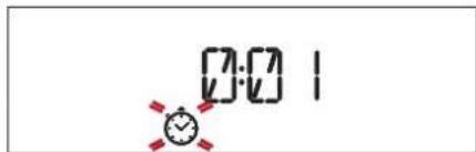 BAUKNECHT HIR4 EP8V2 PT - .TIMER - 1