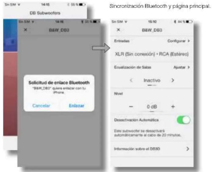 BOWERS & WILKINS DB2D - Configuración de las Entradas - 1