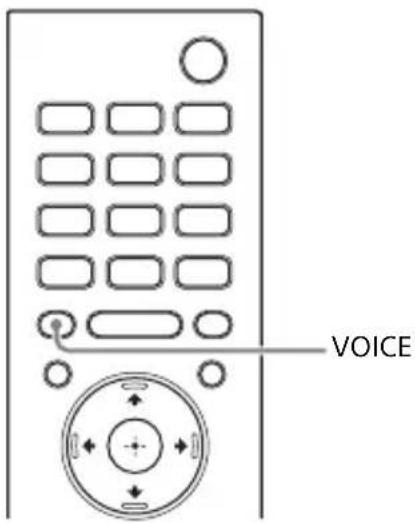 SONY HTX9000F - Making Dialogs Clearer (VOICE) - 1
