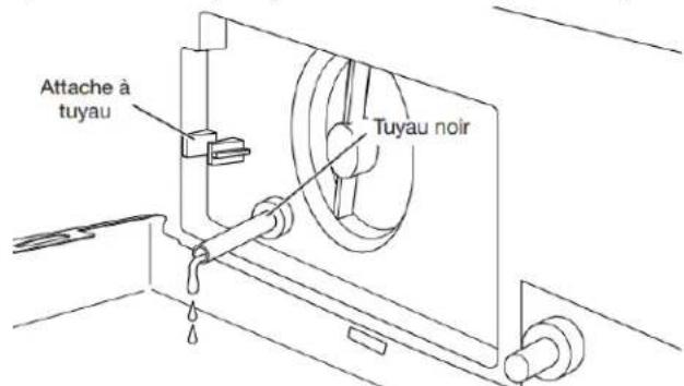 WHIRLPOOL WFW862CHC - Nettoyage du filtré de la pompe de 4. vidange / Vidange de l'eau résiduelle (sur certains modèles) - 3