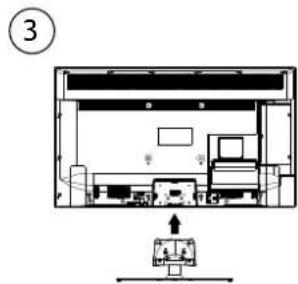 MEDION LIFE X15581 - Inhalt - 19