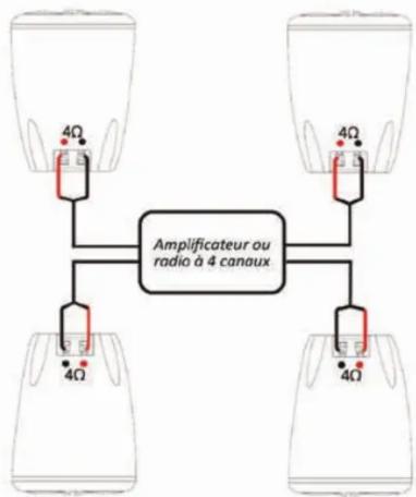 BOSS MRWT40 - Cablage - 2