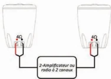BOSS MRWT40 - Cablage - 1