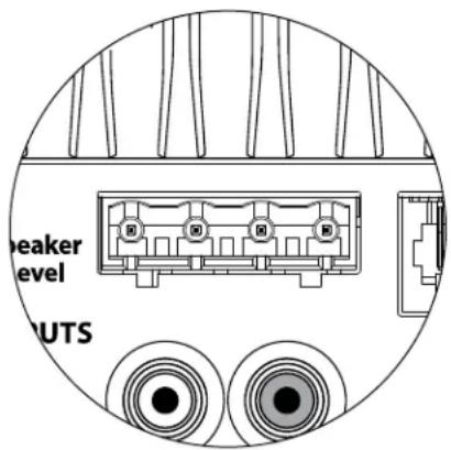 JL Audio Dominion d108 - Anschluss fur drahtlose Verbindung - 2