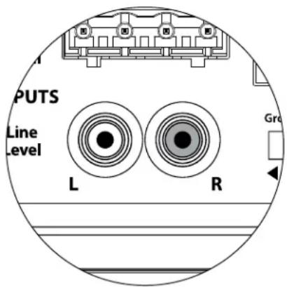 JL Audio Dominion d108 - Anschluss fur drahtlose Verbindung - 1
