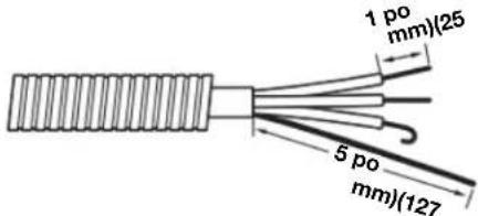 WHIRLPOOL WED560LHW - Préparer le cable à 4 fils pour un raccordement direct - 1