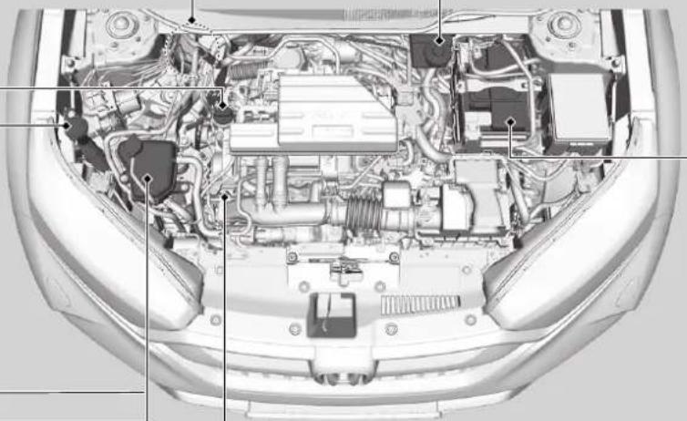 Honda CRV (2021) - Type à conduite à droite - 1