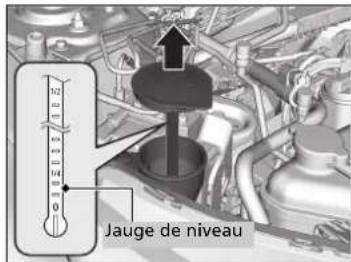 Honda CRV (2021) - Remplissage du liquide lave-glace - 1
