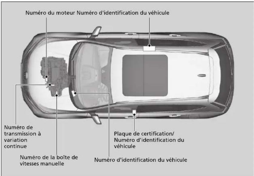 Honda CRV (2021) - Numero d'identification du vehicule (VIN), numero de moteur et numero de transmission - 1