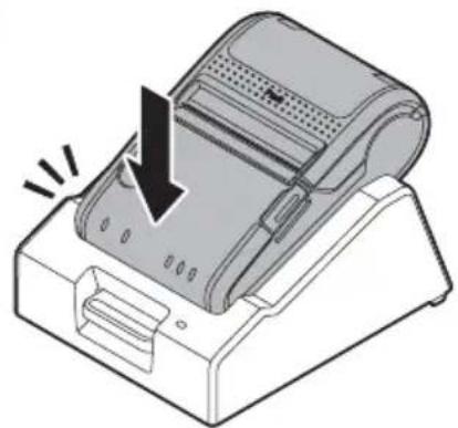 EPSON TMP20 - Illustration - 3