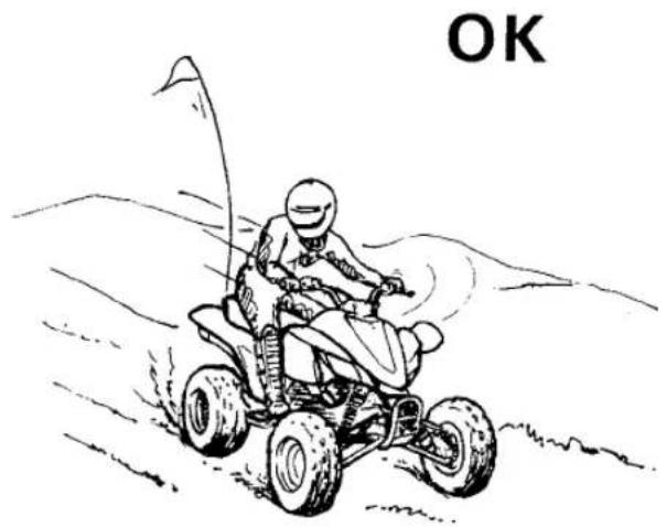 YAMAHA YFZ450R (2018) - AVERTISSEMENT - 4