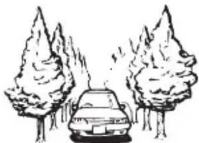 PIONEER AVICZ830DAB - Lors de la conduite à travers une ford est dense ou des arbres hauts - 1