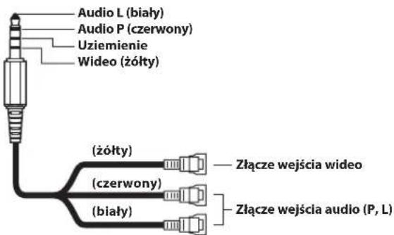 Audio L (biały) Audio P (czerwony) Uziemienie Wideo (żółty) (żółty) (czerwony) (biały) Złącze wejścia wideo Złącze wejścia audio (P, L)