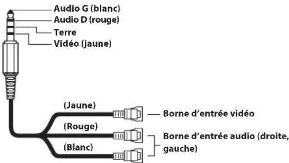 ALPINE INEF904DC - Câble d'interface AV/RCA (mini-fiche AV à 4 pôles 3-RCA) utilisable - 1