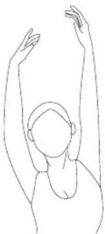 SportPlus SPMSP008P - CONSEILS D'ENTRAÎNEMENT - 3