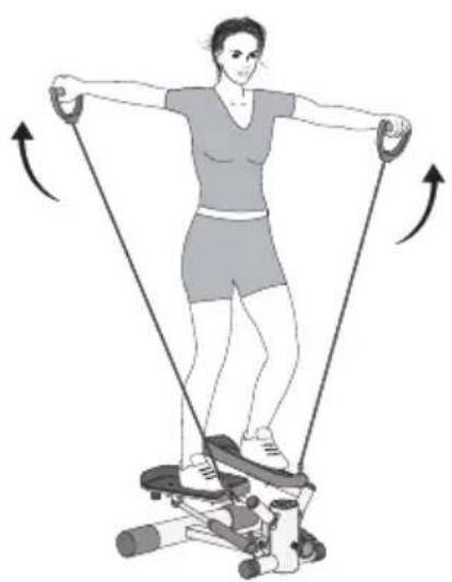 SportPlus SPMSP008P - Exercices pour les biceps - 1