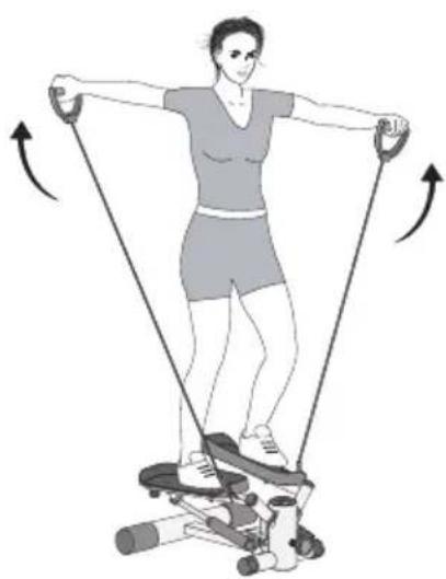 SportPlus SPMSP008P - Training van de biceps - 1