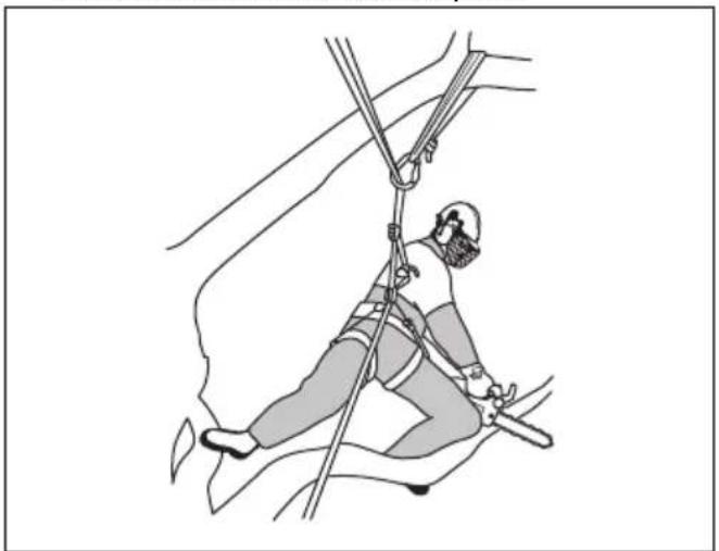 HUSQVARNA ST 424 - Bruke Produktet i et tre - 2