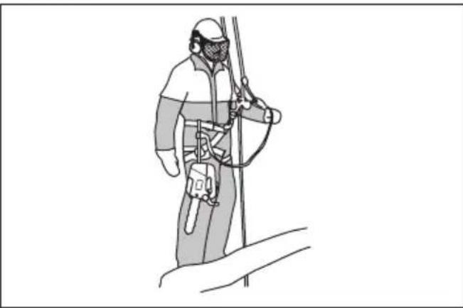 HUSQVARNA ST 424 - Opérateur dans l'arbre - 1