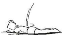 Berg Flatground Champion - Bauchsprung - 2