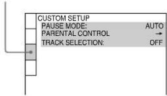SONY MHCS9D - -CUSTOM SETUP - 1